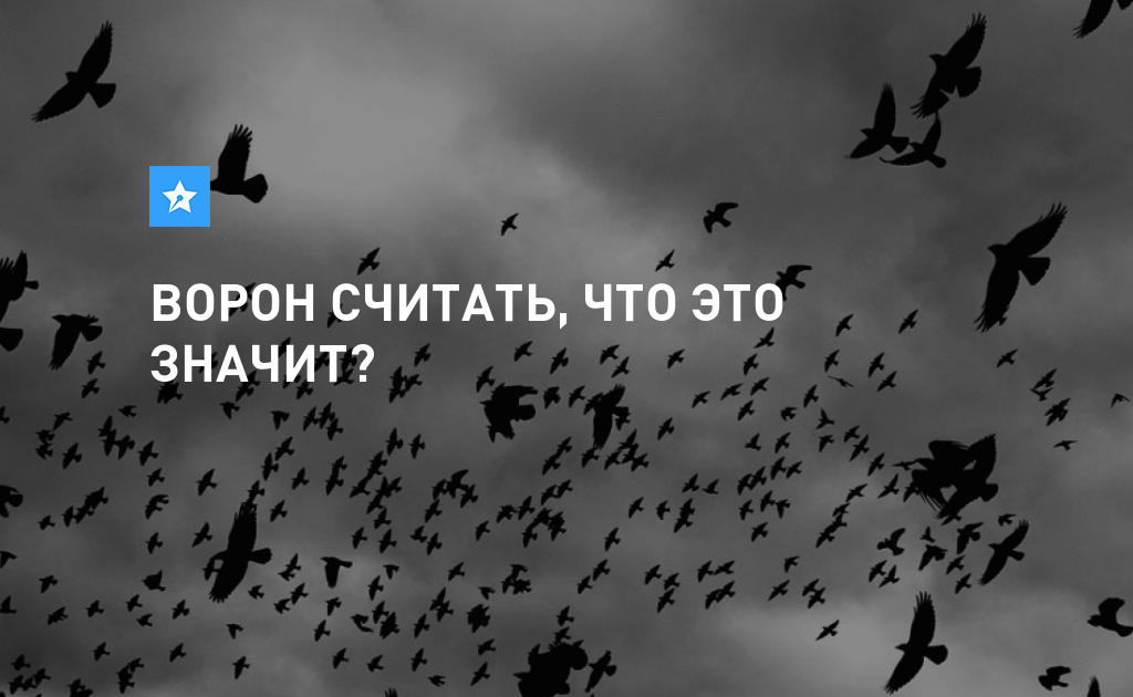 Считать ворона. Посчитаем ворон. Посчитай ворон. С праздником считания ворон открытки. Скажите что считает ворон это значит.