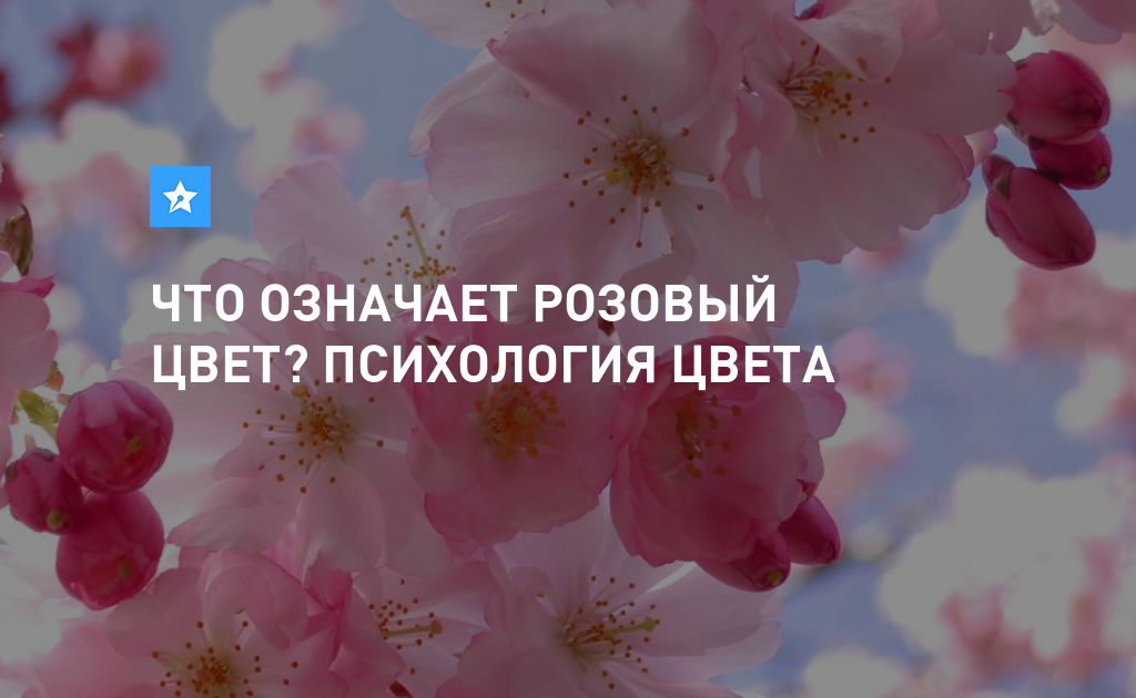 Что значат розовые. Розовый цвет в психологии. Что означает розовый цвет. Розовый цвет психология цвета. Нежно розовый цвет психология.